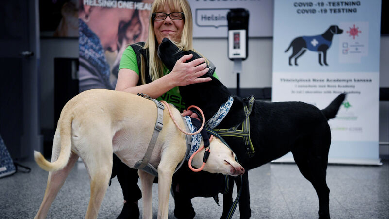 Coronavirus sniffer dogs get to work at Helsinki Airport Coronavirus sniffer dogs get to work at Helsinki Airport
