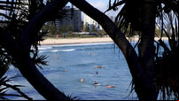 Shark kills surfer on Australia’s Gold Coast