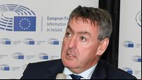 Cork MEP calls for clarity on post-Brexit recognition of educational qualifications