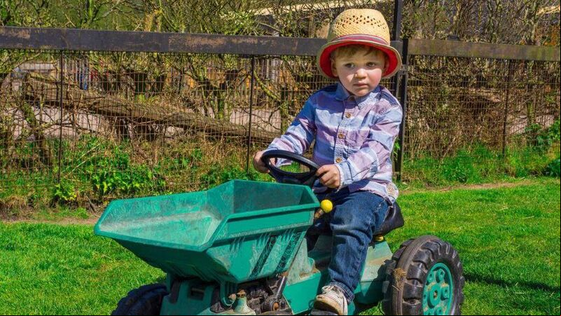 Can home schooling reconnect Ireland with its agricultural heritage? Can home schooling reconnect Ireland with its agricultural heritage?