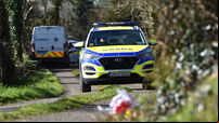 Mitchelstown deaths: Hennessy brother last seen alive at 8pm on Thursday before bodies were discovered