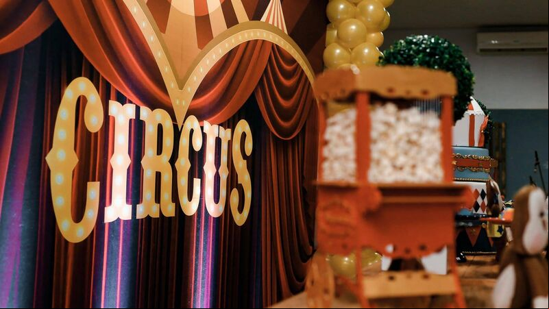 Circuses are back in Cork, but with a difference Circuses are back in Cork, but with a difference