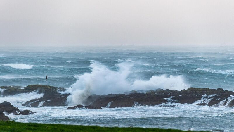 Storm Barra latest: 20 trees reported down, orange weather takes effect from 9pm Storm Barra latest: 20 trees reported down, orange weather takes effect from 9pm