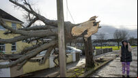 Fallen trees, overturned trucks and closed roads: Cleanup continues after Barra’s first night in Cork