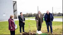 Tree planted in memory of Cork's 9/11 victims