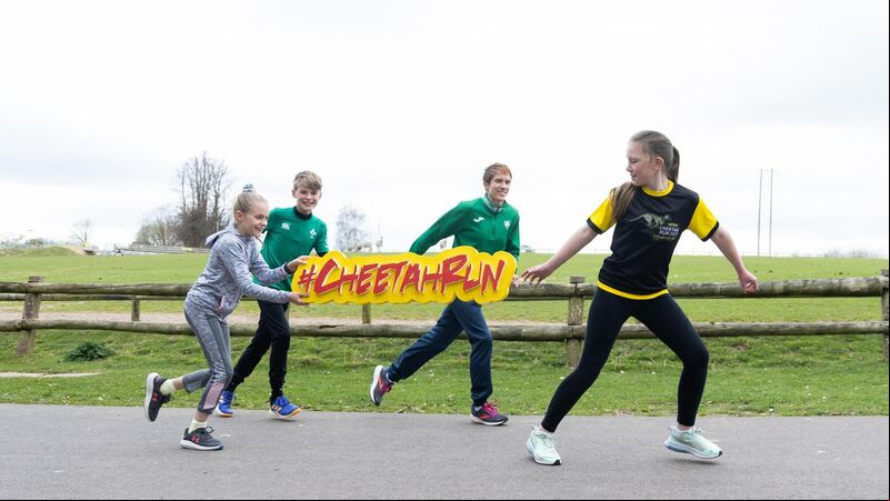 Popular 'Cheetah Run' at Fota Wildlife Park back after two year hiatus