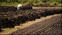 Targets to be set for cutting emissions in key sectors of Ireland’s economy