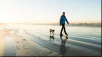 Irish people exercising less and more stressed, research finds