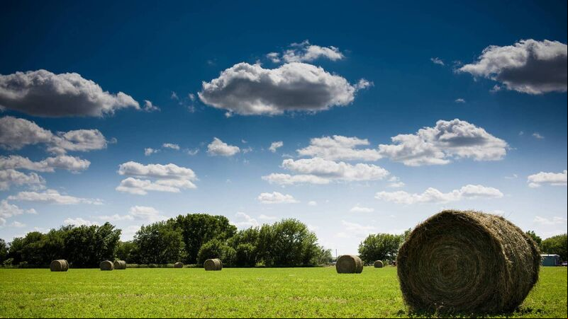 Memories flood back of my 48 years farming as we save the hay Memories flood back of my 48 years farming as we save the hay