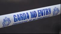 Gardaí investigate death of former teacher found with serious injuries in Co Limerick