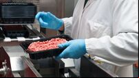Residents challenge permission for €40m meat plant in midlands