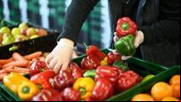 Less Irish grown vegetables in supermarkets as farmers struggle with energy costs