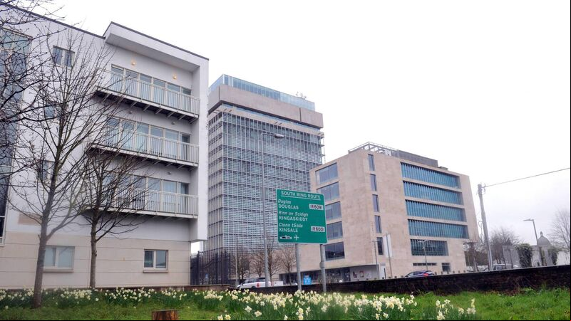 Number of abandoned horses seized and euthanised by Cork County Council decreases Number of abandoned horses seized and euthanised by Cork County Council decreases