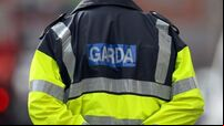 Teenage girl sexually assaulted in park during Rose of Tralee festival