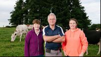 Cork families in milk award finals