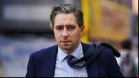 Dublin Business School should meet with social care students, says Harris