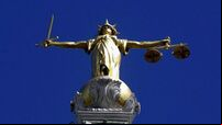 Midwife (24) avoids conviction for neglect of dog 'eaten alive by maggots'