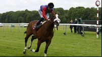Queen Elizabeth’s horse King’s Lynn will not run at the Curragh