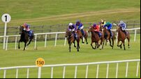 Fellowes full of hope as Marbaan goes for National Stakes