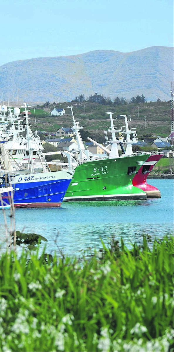 A trawler heading to the pier at Castletownbere, Co Cork. Picture: Dan Linehan A trawler heading to the pier at Castletownbere, Co Cork. Picture: Dan Linehan