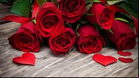 Red roses and hearts