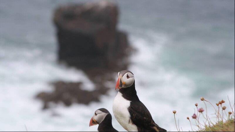 Ten incredible islands to add to your Ireland bucket list
