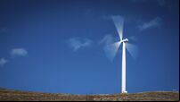 Ireland at risk of not capitalising on wind energy potential, says Cork MEP