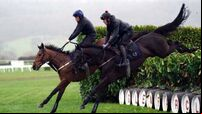 Cheltenham 2023: Everything you need to know