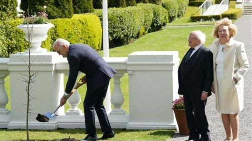Biden expresses hope his great-grandchildren can climb tree he planted in Dublin Biden expresses hope his great-grandchildren can climb tree he planted in Dublin