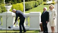 Biden expresses hope his great-grandchildren can climb tree he planted in Dublin