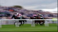 Hundreds of activists set to disrupt Grand National at Aintree
