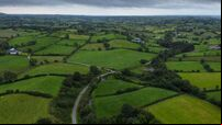 Cost of agricultural land to increase by 8% this year, survey suggests