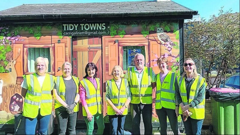 Heroes in hi-vis! My stint with Carrigaline Tidy Town volunteers Heroes in hi-vis! My stint with Carrigaline Tidy Town volunteers