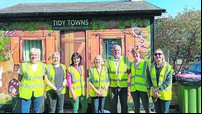 Heroes in hi-vis! My stint with Carrigaline Tidy Town volunteers