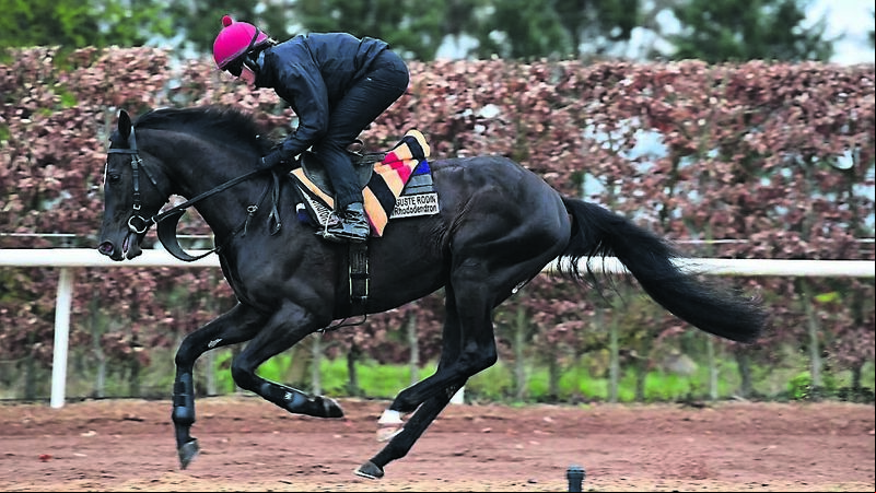 The Longshot: Rodin one to muse on for the Epsom Derby