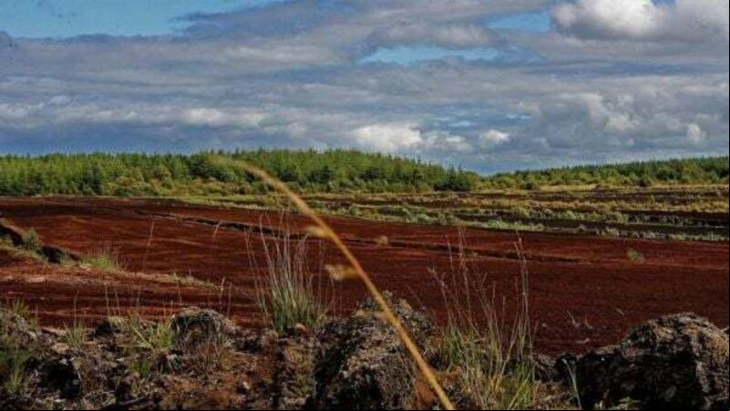 Ireland tries to water down EU nature law, document reveals Ireland tries to water down EU nature law, document reveals