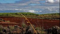 Ireland tries to water down EU nature law, document reveals