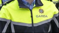 Gardaí commissioner announces frontline force will get bodycams