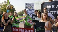 All Irish MEPs back major plan to protect nature and fight climate change