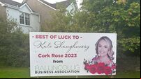 Posters ing Cork Rose removed by city council
