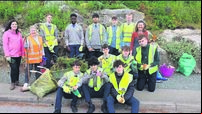 How do Mallow Tidy Towns keep their locality looking so well?