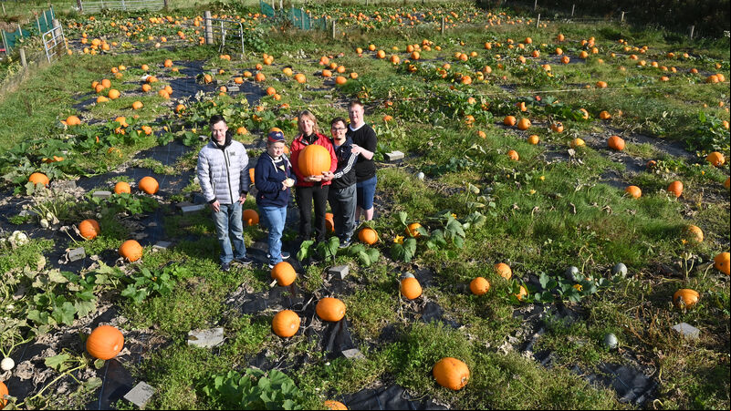 Pick-a-Pumpkin festival returns to Field of Dreams Pick-a-Pumpkin festival returns to Field of Dreams