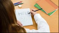 Budget investment in mental health services for young people welcomed by ISPCC
