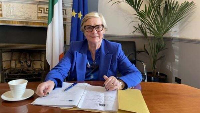 s Fitzgerald will not contest European Parliament elections s Fitzgerald will not contest European Parliament elections