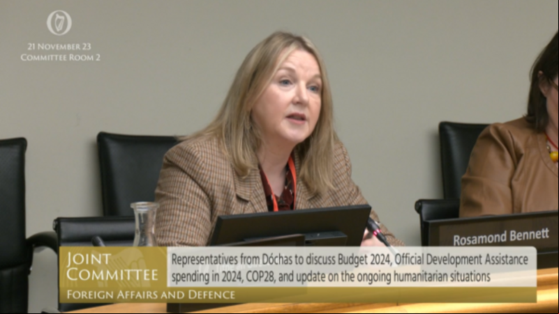 ‘Only a trickle’ of aid going into Gaza, charities tell Oireachtas committee ‘Only a trickle’ of aid going into Gaza, charities tell Oireachtas committee
