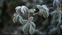 Low temperature and ice warning extended