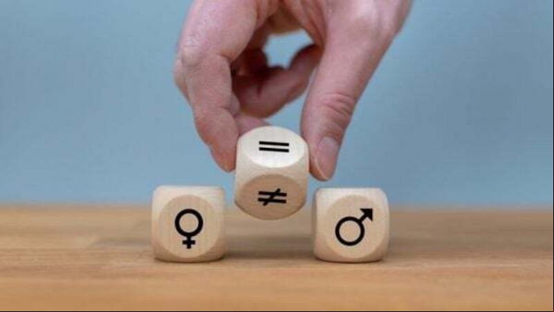 Almost three quarters of the top 1% of earners in 2022 were male Almost three quarters of the top 1% of earners in 2022 were male