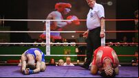 IABA National Elite Boxing Championships 2024 Finals