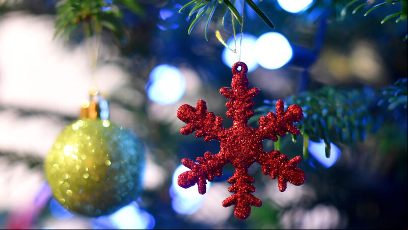 Free Christmas tree drop off points across Cork