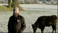 Cork Wagyu to feature on agri TV show